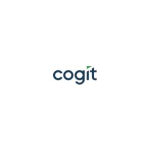 Rozwiązania do analizy danych - BI business intelligence - Cogit