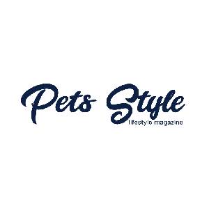 Rasa psa yorka - Portal dla właścicieli zwierząt domowych - PETS STUDIO